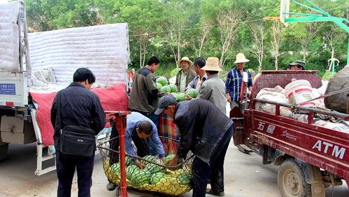 衡阳建材吃瓜群众,吃瓜群众热议的焦点之地