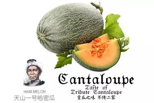 艺术就是boom吃瓜,Boom吃瓜现象背后的文化解读