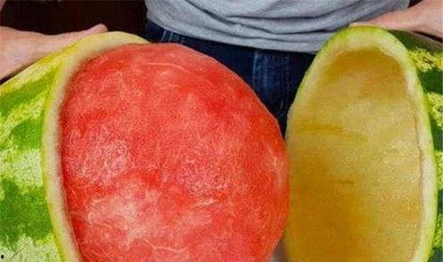 不同国吃两瓜,各国特色“两瓜”美食大赏