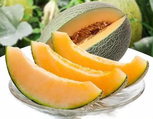 吃瓜群众瓜州吃瓜,吃瓜群众瓜州吃瓜记