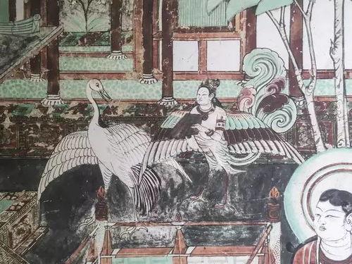 敦煌老马吃瓜事件,一场意外引发的全民热议