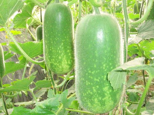 2025吃瓜,吃瓜群众的一年，热点事件大盘点