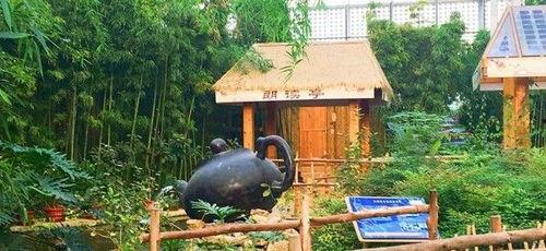 小孩公园亭子里吃瓜